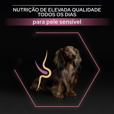 Cão castanho dentro de um contorno hexagonal rosa e texto sobre nutrição para pele sensível