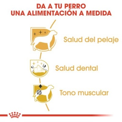 Imagem com ícones e texto sobre alimentação personalizada para cães destacando saúde do pelo, dental e tom muscular.