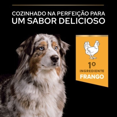 Cão cinza, branco e castanho junto a gráfico amarelo com frango e texto
