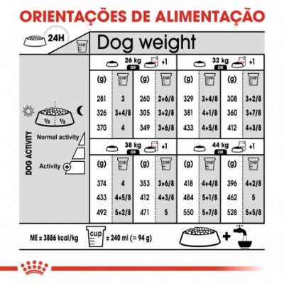 Tabela de orientações de alimentação para cães por peso e atividade, com texto e gráficos simples.