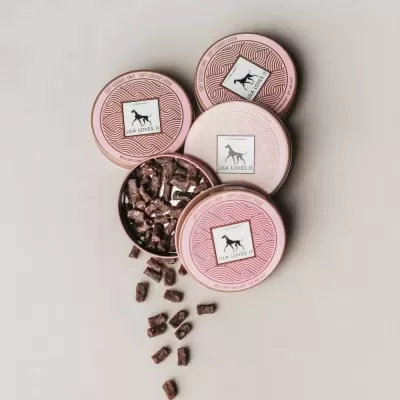 Tinas cor-de-rosa de ração para cão com pedaços marrons