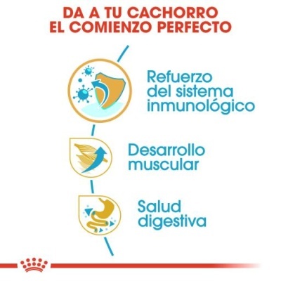 Benefícios para cachorros com texto em espanhol e ícones ilustrativos, fundo branco com linha vermelha e logotipo Royal Canin