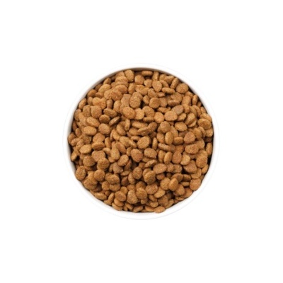 Tigela branca com ração seca castanha clara