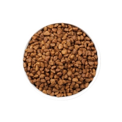 Tigela branca cheia de ração para animais castanho-claro