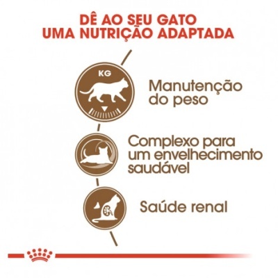 Texto sobre nutrição adaptada para gatos com três ícones e títulos explicativos