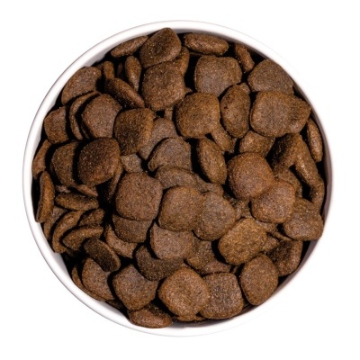 Taça branca cheia de croquetes de ração seca castanho escuro