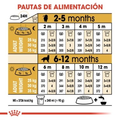 Tabela de alimentação para cães de 2 a 12 meses com quantidades recomendadas.