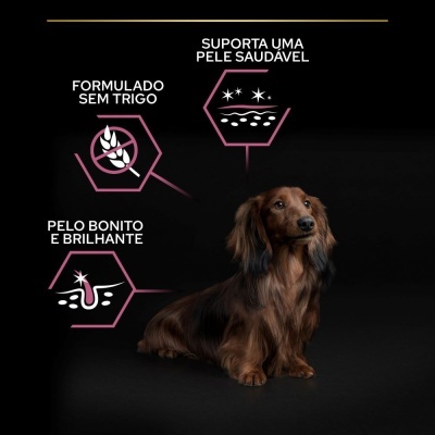 Cão dachshund de pelo longo castanho com texto informativo em fundo preto