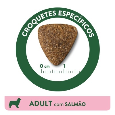 Croquete triangular castanho com escala e texto ADULT com SALMÃO