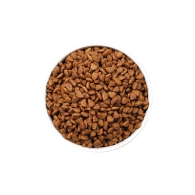 Recipiente com ração seca castanha sobre fundo branco