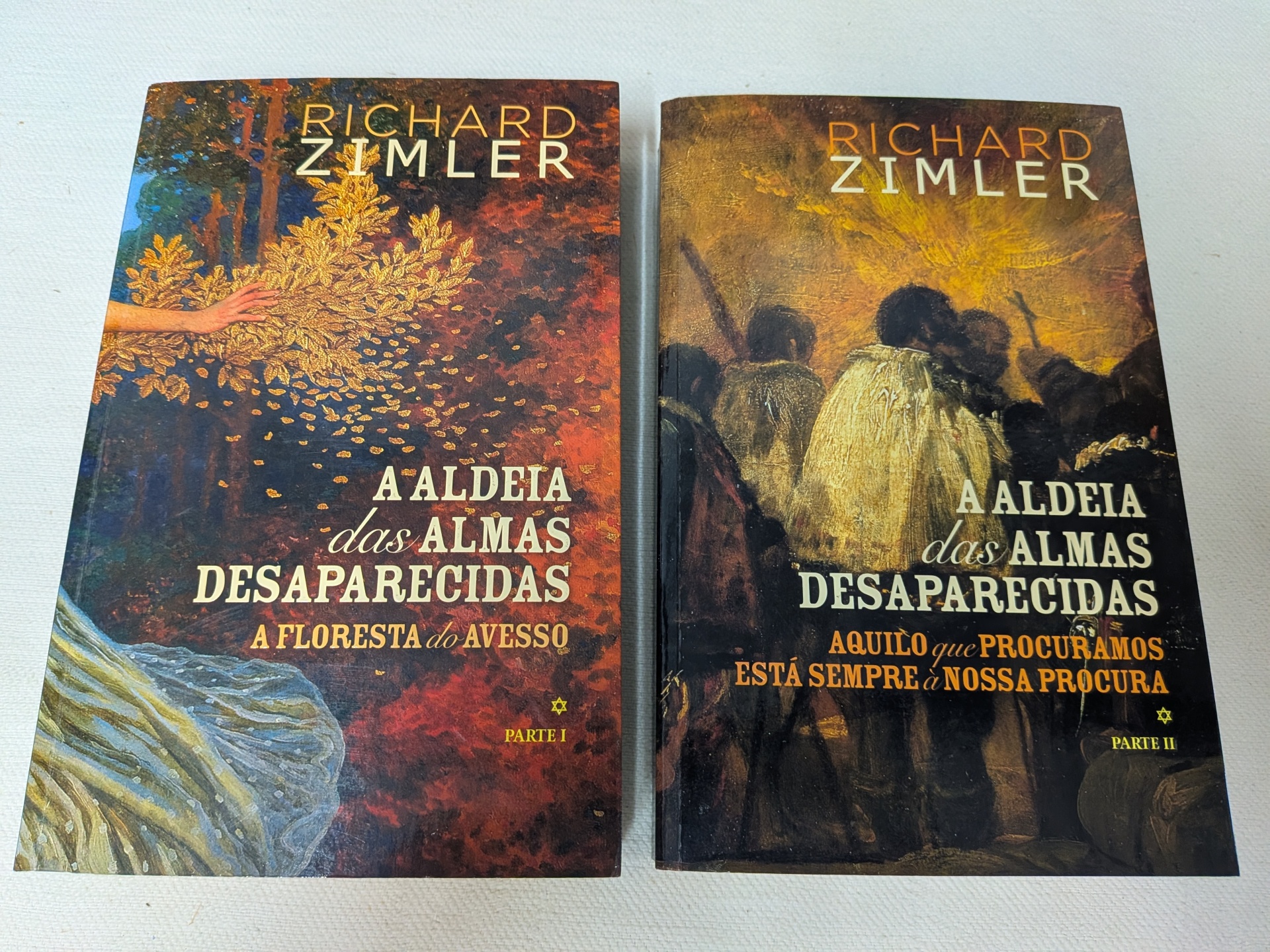 Richard Zimler - A Aldeia das Almas Desaparecidas I e II (A floresta do avesso + Aquilo que procuramos está sempre à nossa procura) Capas de dois livros de Richard Zimler, A ALDEIA das ALMAS DESAPARECIDAS Parte I e Parte II.
