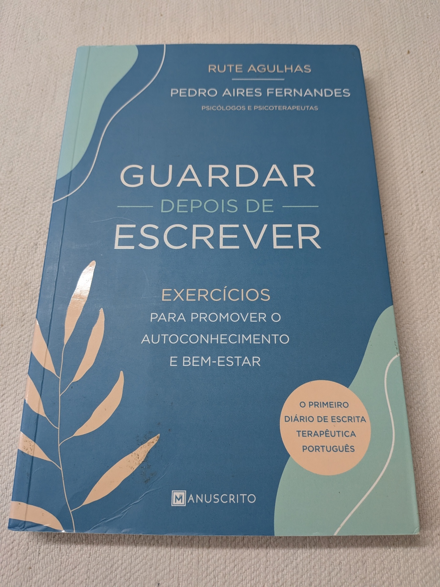 Rute Agulhas e Pedro Aires Fernandes - Guardar Depois de Escrever Livro Guardar Depois de Escrever com capa azul e detalhes verdes