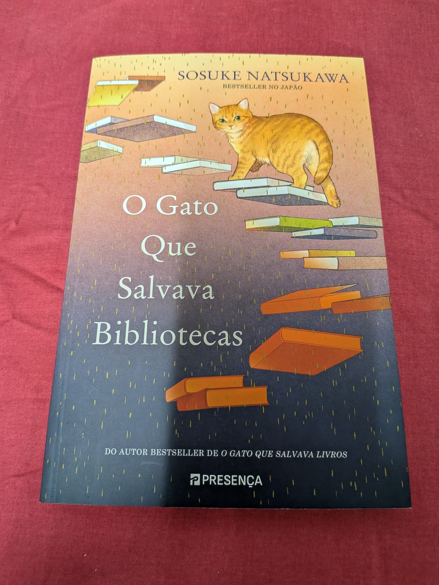 O Gato que Salvava Bibliotecas de Sosuke Natsukawa Capa do livro O Gato Que Salvava Bibliotecas com ilustração de gato e livros
