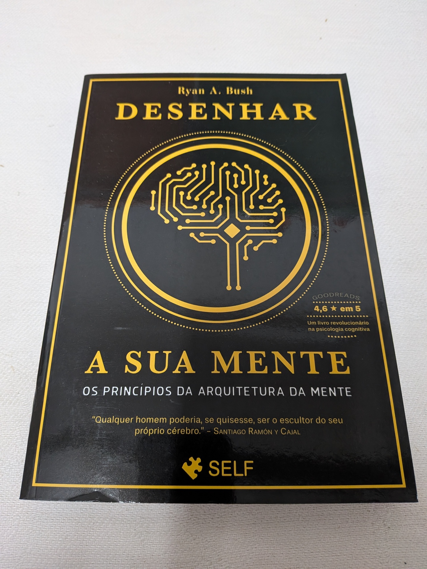 Ryan A. Bush - Desenhar a Sua Mente - Os princípios da arquitetura da mente Livro preto e dourado Desenhar a sua mente com desenho de cérebro em circuitos e texto na capa