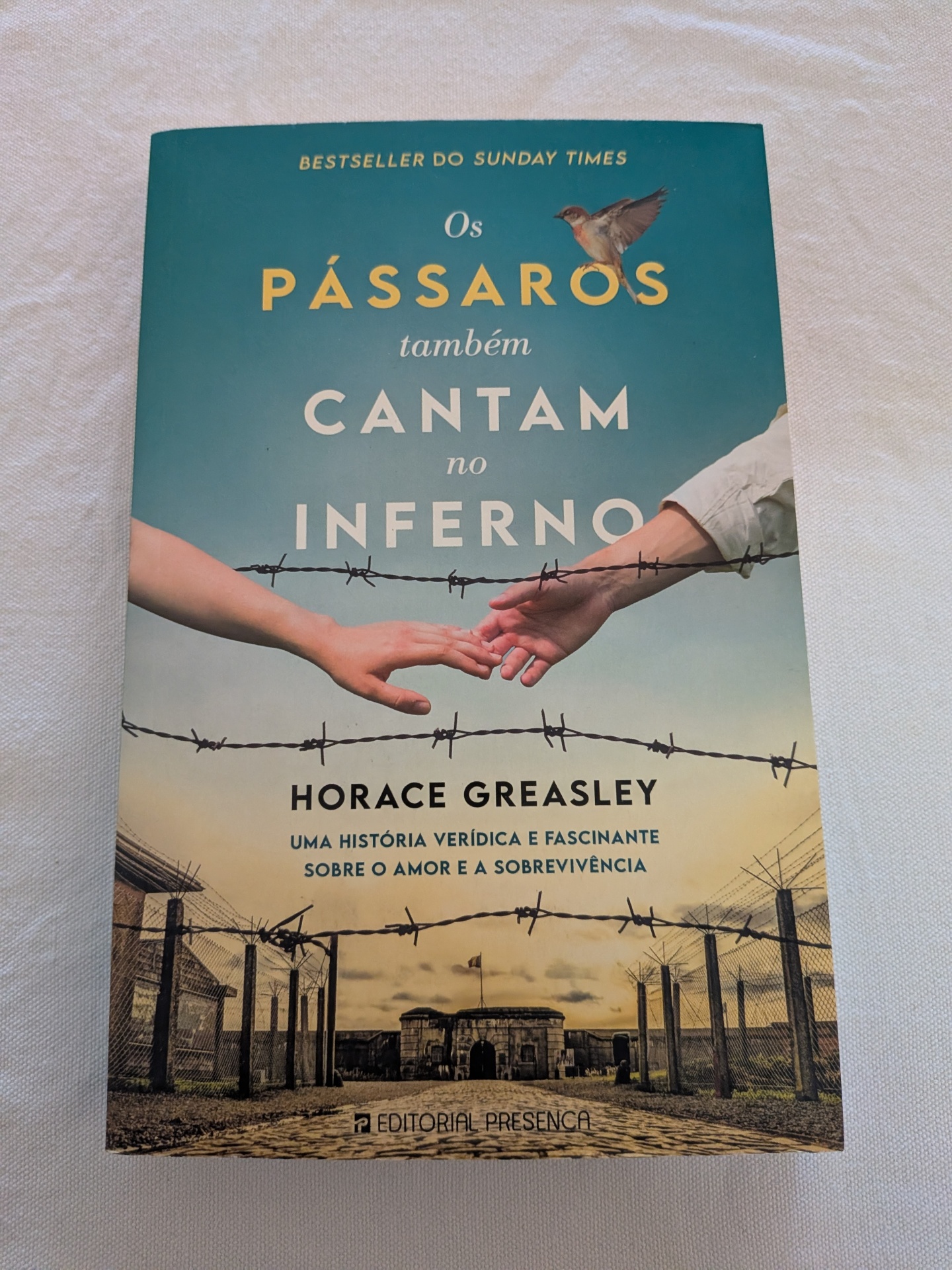 Horace Greasley - Os Pássaros Também Cantam no Inferno Capa de livro Os Pássaros também cantam no Inferno com céu azul, mãos se tocando e arame farpado