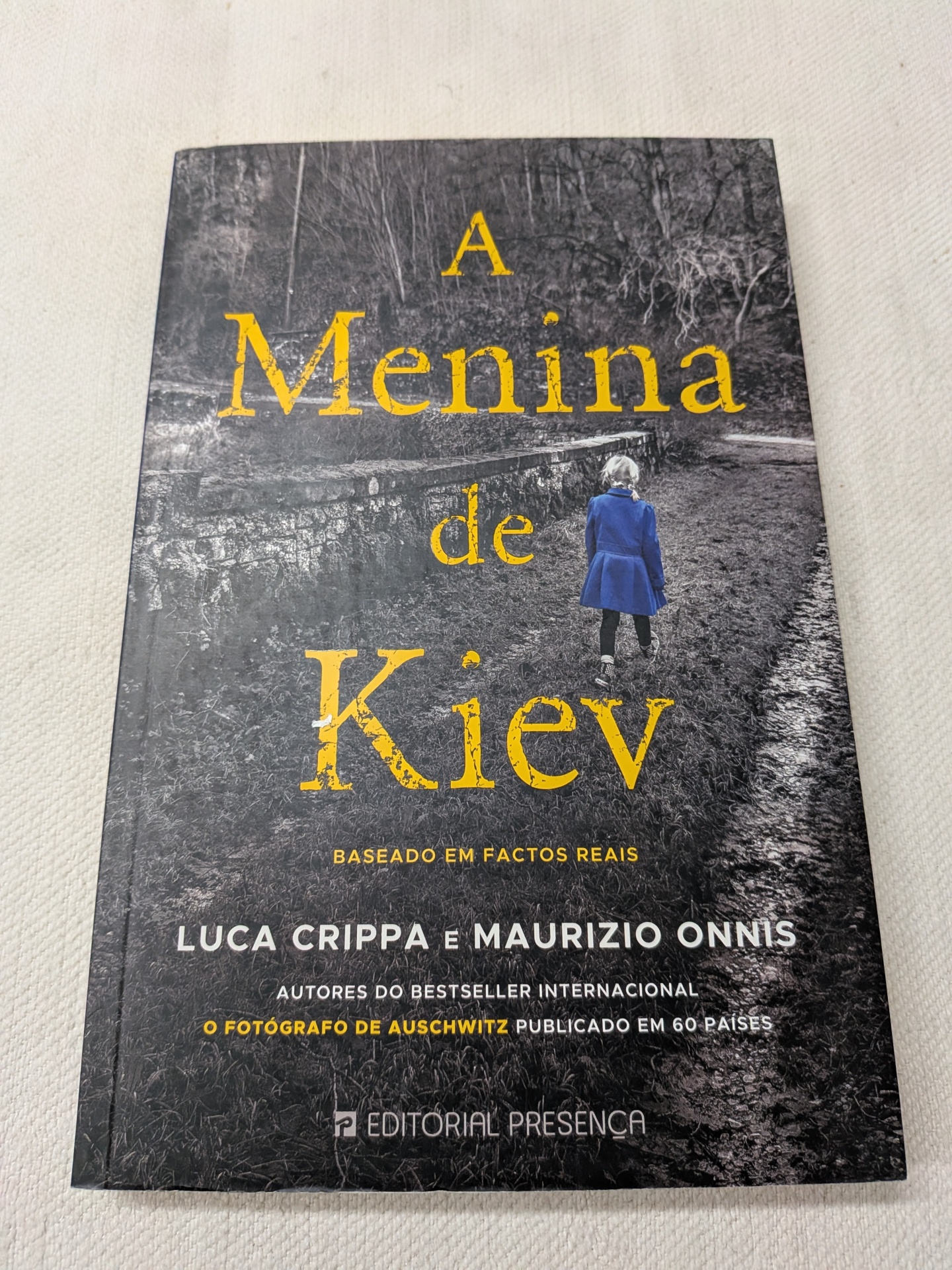 Luca Crippa e Maurizio Onnis - A Menina de Kiev Capa de livro A Menina de Kiev com criança de casaco azul de costas numa paisagem cinzenta