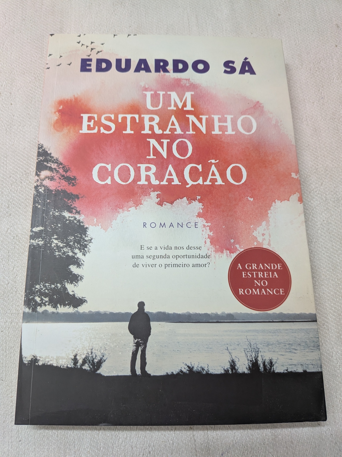 Eduardo Sá - Um Estranho no Coração Capa de livro com título Um Estranho no Coração de Eduardo Sá, imagem de pessoa junto a lago