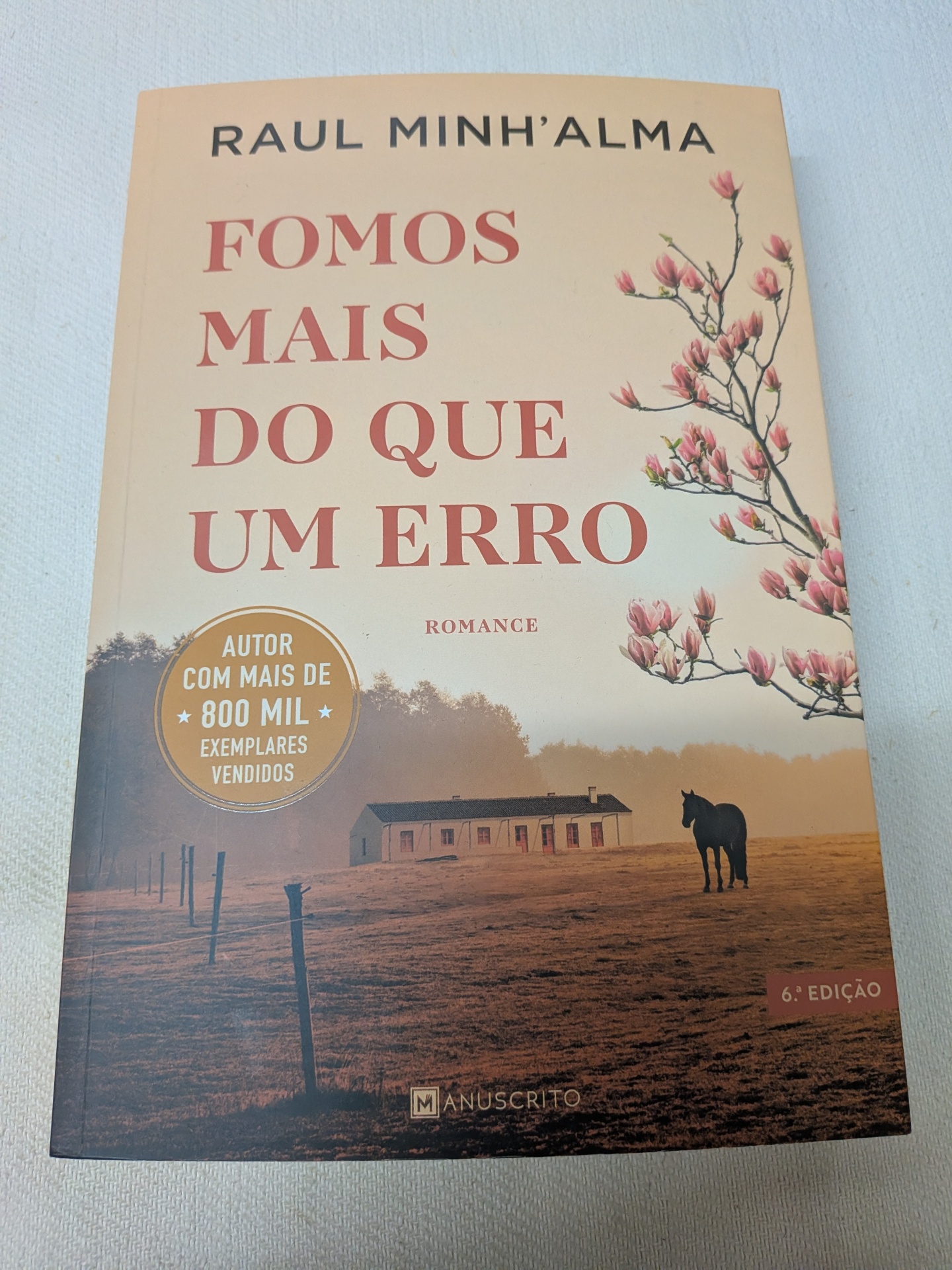 Raul Minh'alma - Fomos Mais do que um Erro Capa de livro FOMOS MAIS DO QUE UM ERRO com ilustração e selo dourado
