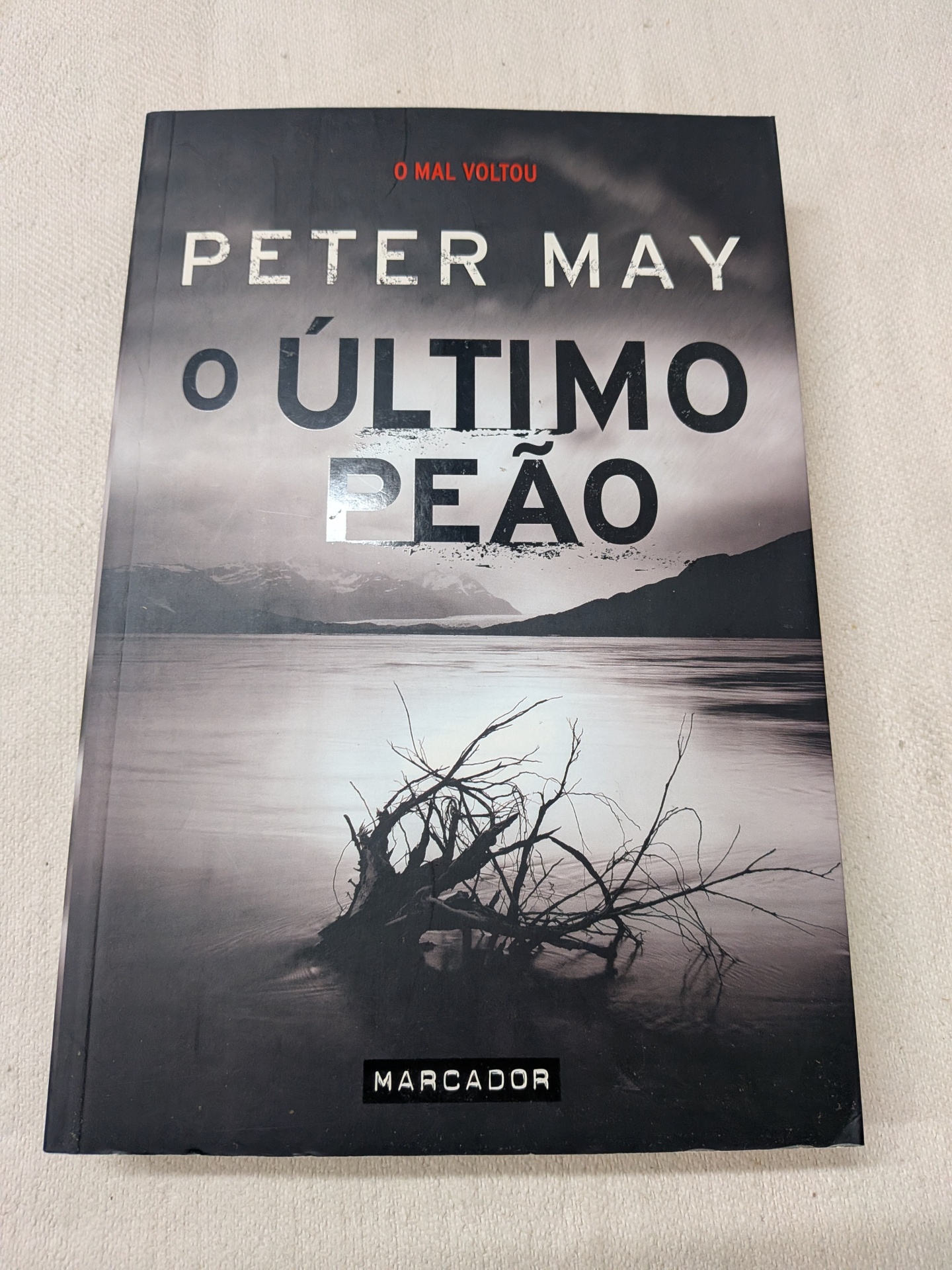 Peter May - O Último Peão Capa de livro O ÚLTIMO PEÃO de Peter May com imagem de tronco seco em água e montanhas cinzentas