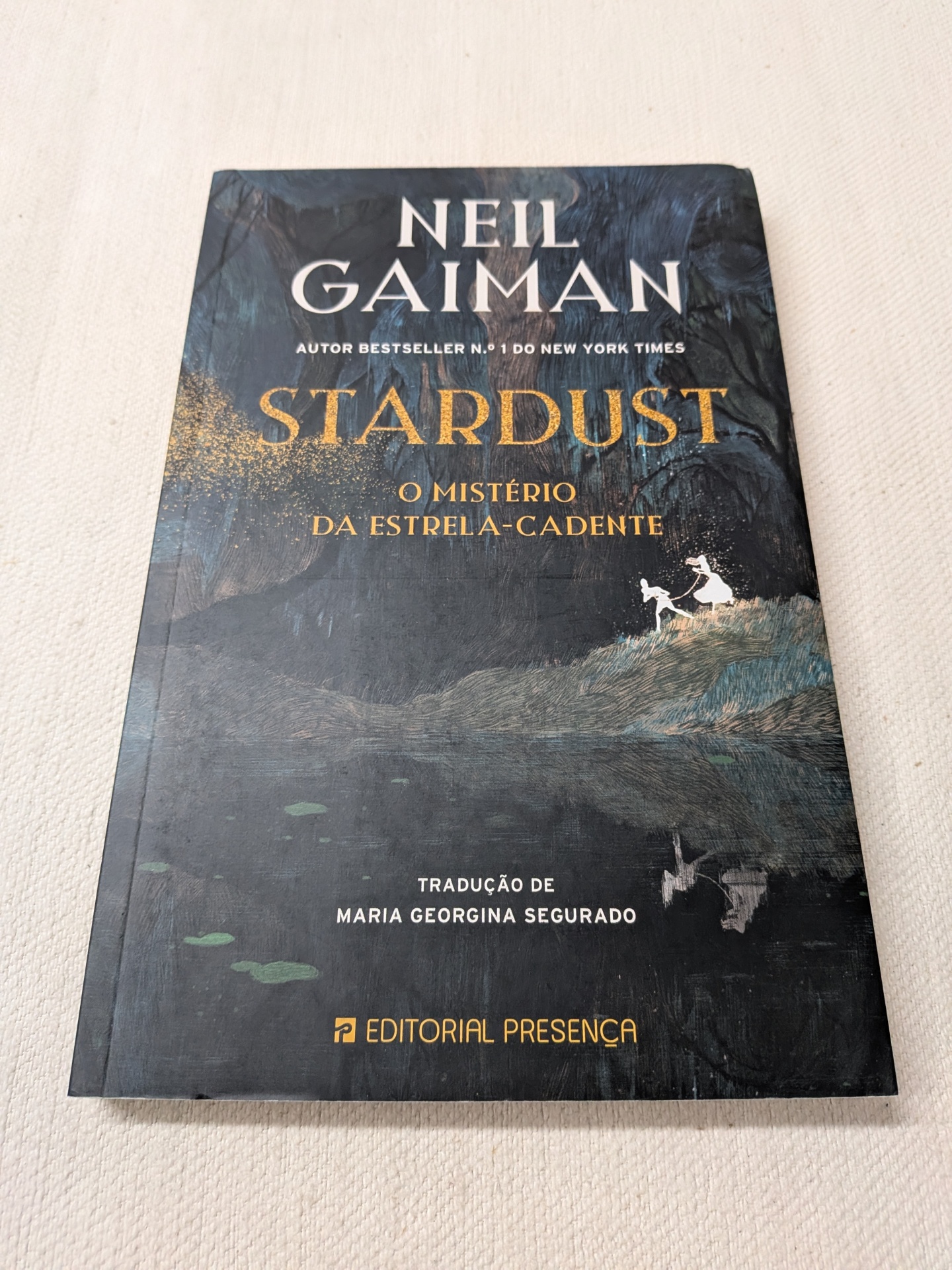 Neil Gaiman - Stardust - O Mistério da Estrela-Cadente Livro Stardust de Neil Gaiman com capa ilustrada escura e detalhes dourados