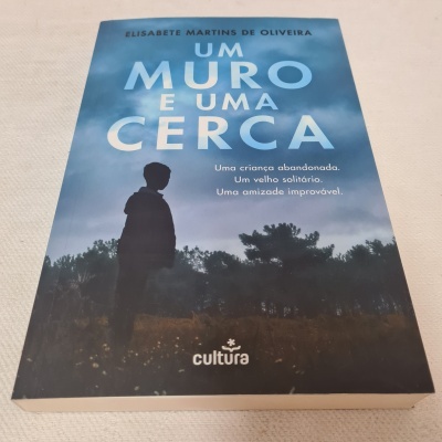 Capa de livro 'Um Muro e Uma Cerca' com silhueta de criança e céu azul