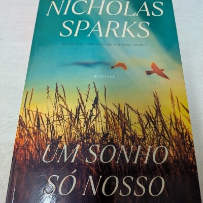 Capa de livro em estilo paisagem ao pôr do sol com texto de título e autor