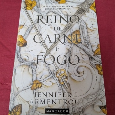 Capa do livro Reino de Carne e Fogo com espada e folhas amarelas