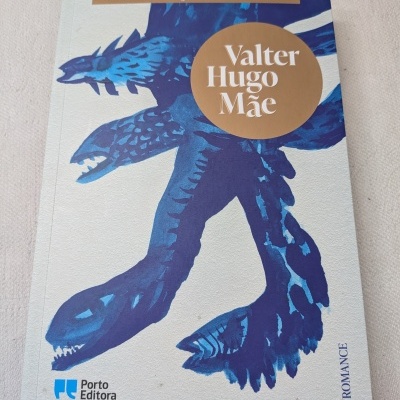 Capa de livro As doenças do Brasil de Valter Hugo Mãe com ilustração azul e texto em castanho