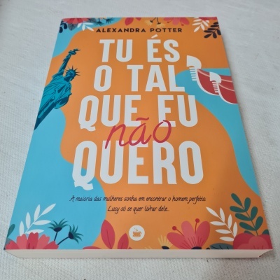 Capa de livro colorida com texto em português e ilustrações variadas