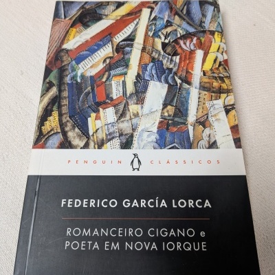 Livro com capa colorida abstrata e faixa preta com texto em português.