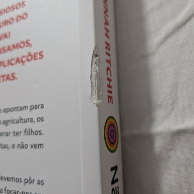 Lombada de livro branco com o nome do autor Hannah Ritchie e um rasgo no meio.