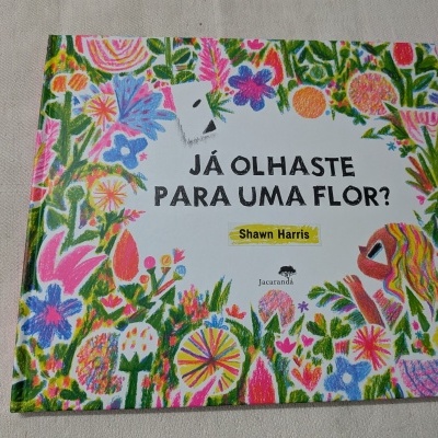 Capa de livro infantil colorida com flores e menina e texto em português.