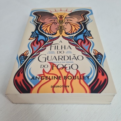 Livro com capa ilustrada de borboletas e chamas intitulado A Filha do Guardião do Fogo