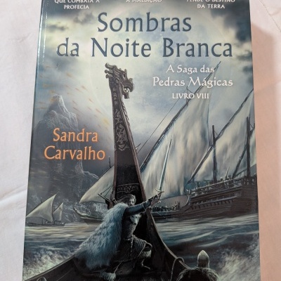 Capa de livro com ilustração de barco viking e texto em português