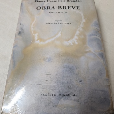 Livro Obra Breve - Poesia Reunida com capa manchada e desgastada
