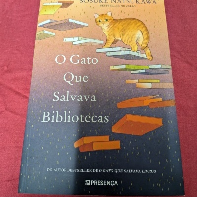 Capa do livro O Gato Que Salvava Bibliotecas com ilustração de gato e livros