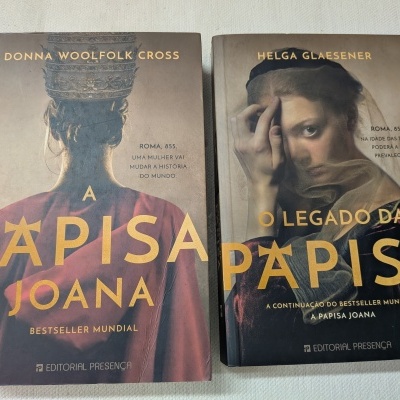 Dois livros com capas ilustradas e texto em português