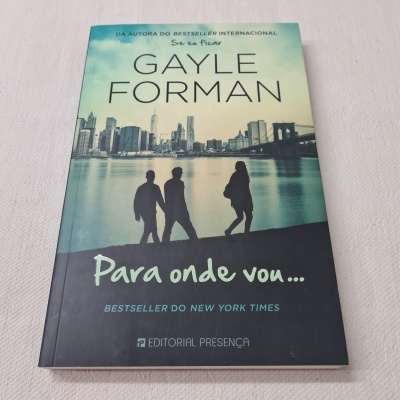 Capa do livro 'Para onde vou...' de Gayle Forman com silhuetas humanas e paisagem urbana ao fundo