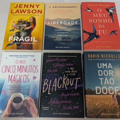 Seis livros sobre uma superfície branca com capas coloridas e títulos em português.