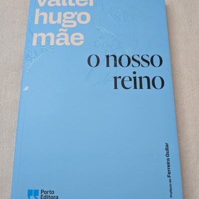 Capa azul clara de livro com texto e relevo floral