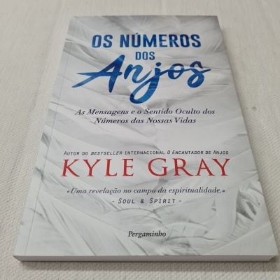 Capa do livro 'Os números dos Anjos' de Kyle Gray
