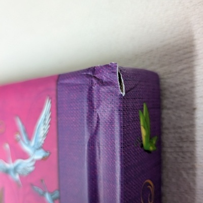 Canto superior de caixa de papelão com embalagem rosa e roxa danificada