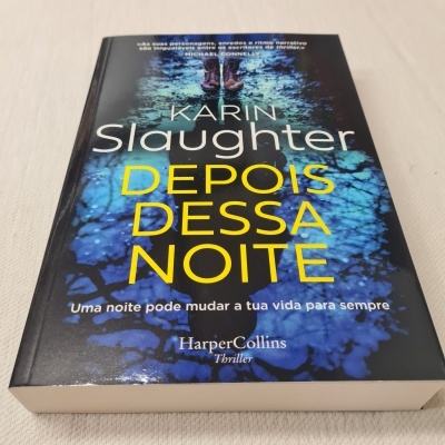 Capa do livro 'Depois Dessa Noite' de Karin Slaughter com cores preta, azul e amarelo