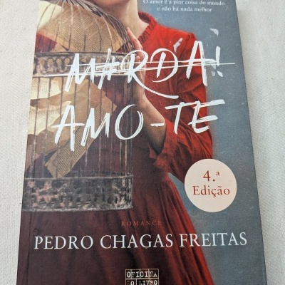 Capa de livro com mulher de vestido vermelho segurando gaiola e textos literários