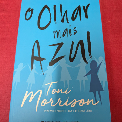 Capa de livro azul com título em letras pretas e silhuetas femininas azuis em fundo vermelho