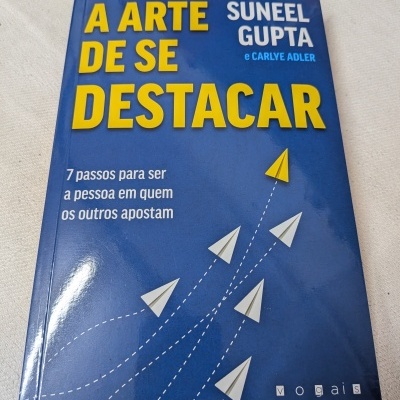 Livro azul com título amarelo e branco e ilustração de aviões de papel