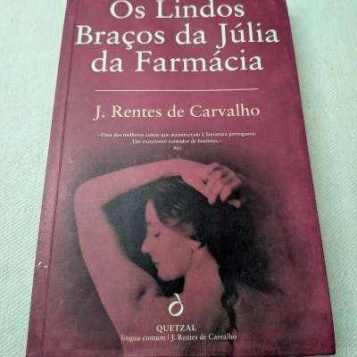 Capa de livro castanha vermelha com título e imagem de mulher com braço levantado