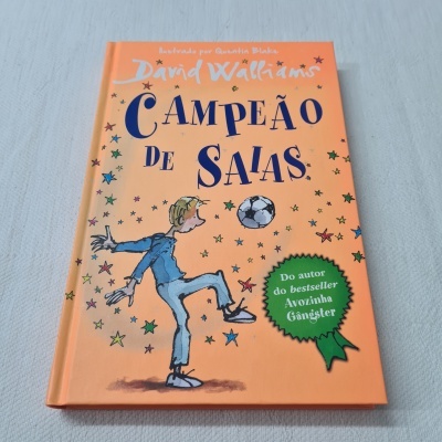 Capa de livro 'CAMPEÃO DE SAIAS' em fundo laranja com ilustração e estrelas coloridas