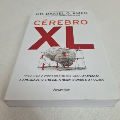 Capa de livro branco com texto e imagem de cérebro e figuras vermelhas num andaime