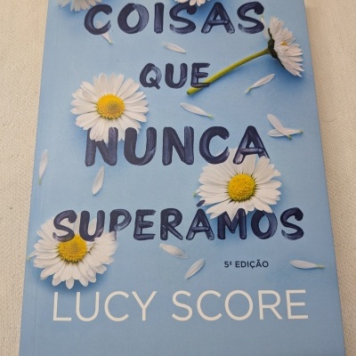 Capa azul de livro com título e margaridas.